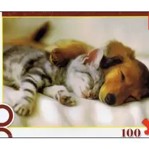 Trefl Sleeping Puppies (100) | Bästsäljare