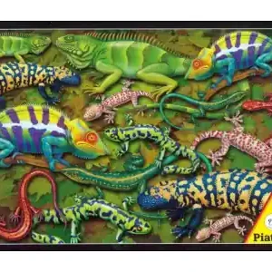 Outlet | Piatnik Salamanders (1000)