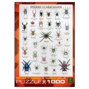 Rabatter | EuroGraphics Spiders (1000)