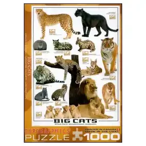 Tryggt köp - EuroGraphics Big Cats (1000)