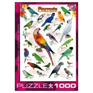Rea - EuroGraphics Parrots (1000)