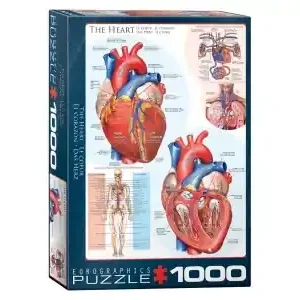 Beställ nu | EuroGraphics The Heart (1000)