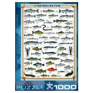 EuroGraphics Freshwater Fish (1000) | Fynd