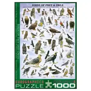 EuroGraphics Birds of Prey and Owls (1000) - Toppkvalitet