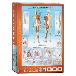 EuroGraphics The Human Body (1000) - Bästsäljare