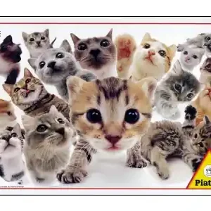 Piatnik Cats (1000) | Snabb frakt