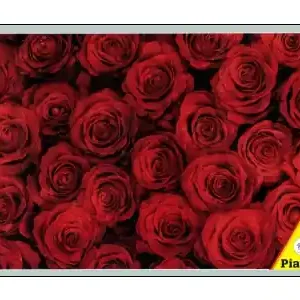 Passa på | Piatnik Red Roses (1000)