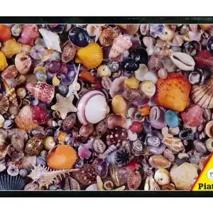 Bara denna vecka | Piatnik Seashell (1000)