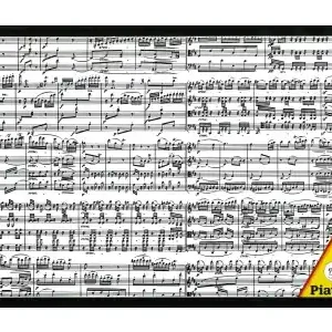 Bra pris just nu - Piatnik Musical Notes (1000)