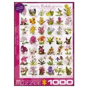 EuroGraphics Orchids (1000) | Hög kvalitet