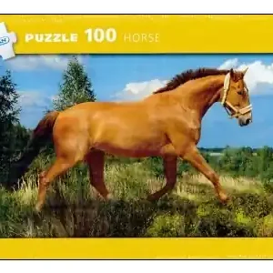 Kärnan Horse (100) | Bara idag