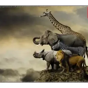 Educa Animals on the Edge of a Cliff (500) - Endast ett fåtal kvar