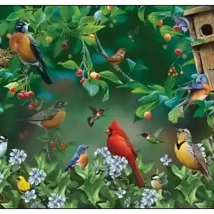 SunsOut Bird Festival (1000) - Kundernas favorit