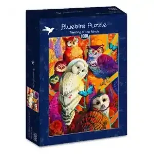 Nytt lägre pris - Bluebird Puzzle Meeting of the Minds (1000)