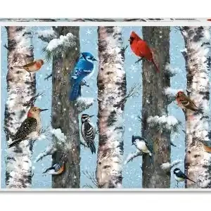 Bästa pris | Piatnik Christmas Birds (1000)