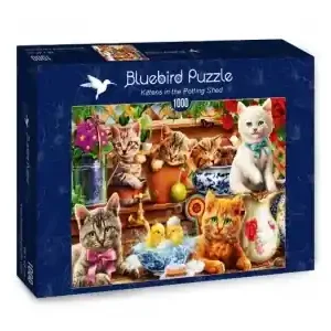 Bluebird Puzzle Kittens in the Potting Shed (1000) - Rekommenderas