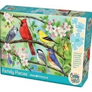 Begränsat lager - Cobble Hill Family Pieces - Bloomin Birds (350)