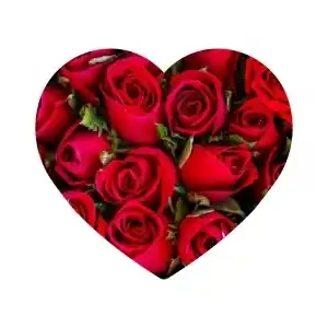 Puzzlocado Träpussel - Heart Puzzle, Roses (172) - Beställ idag