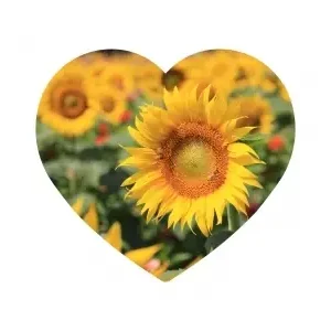 Puzzlocado Träpussel - Heart Puzzle, Sunflowers (172) - Premium