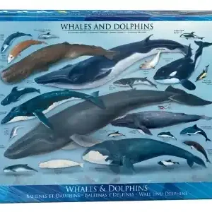 EuroGraphics Whales & Dolphins (1000) - I lager