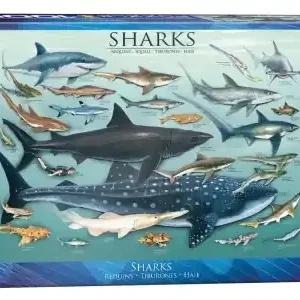 EuroGraphics Sharks (1000) - Specialerbjudande