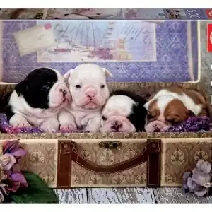 Bara idag - Educa Puppies (500)