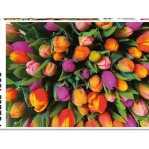 Köp idag - Piatnik Tulips (1000)