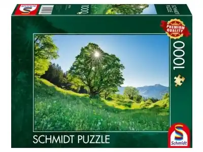 Schmidt Sycamore Maple in the Sunlight - St. Gallen, Switzerland (1000) | Spara mer