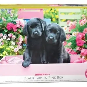 EuroGraphics Large Pieces - Black Labs in Pink Box (500) - Nytt i webbutiken