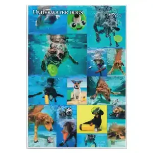 Venneröd Underwater Dogs (1000) - Bara idag