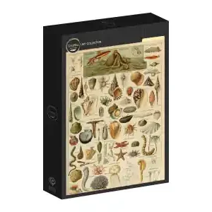 Grafika Larousse - Molluscs II (1000) - Trygg betalning