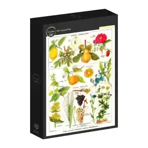 Grafika Larousse Medical - Astringent and Aperitive Plants (1000) - Beställ idag