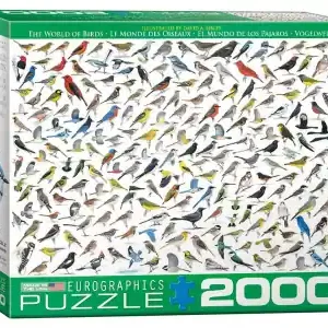 EuroGraphics David Sibley - The World of Birds (2000) - Trygg betalning
