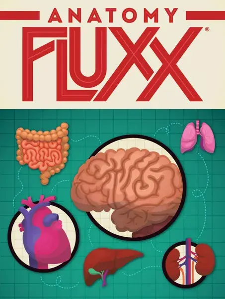 Anatomy Fluxx | Tryggt köp