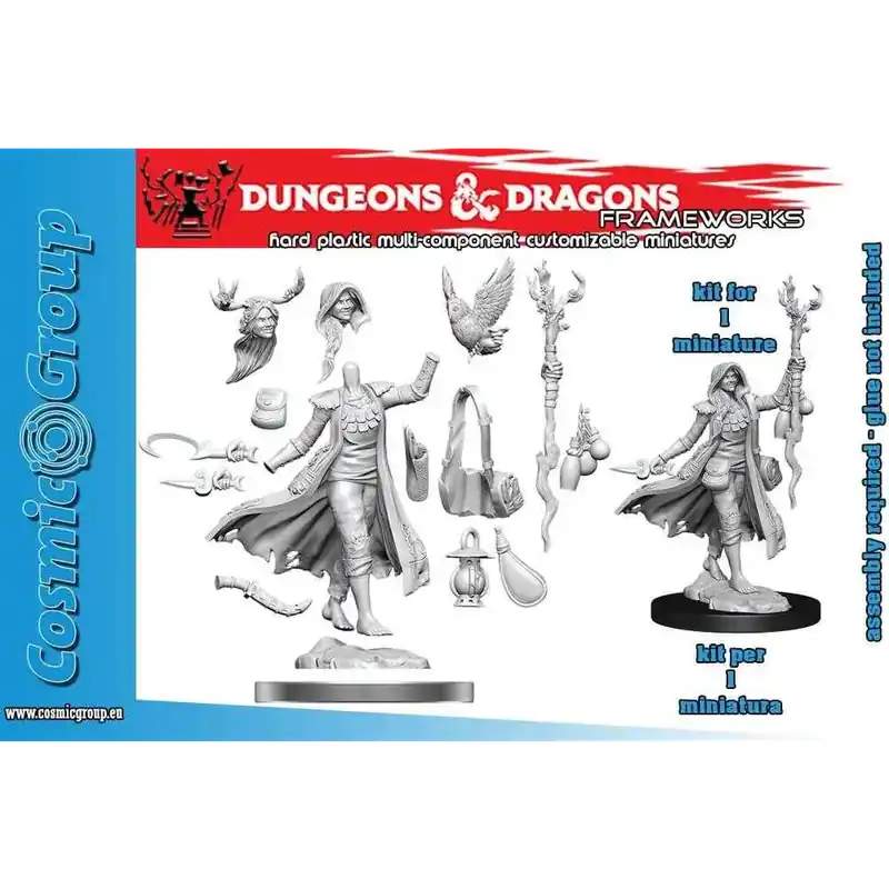 Dagens erbjudande | D&d Frameworks - Human Druid Female Miniature