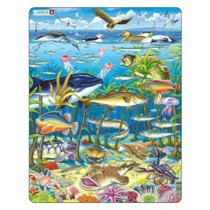Finns tillgänglig | Larsen Puzzles Puzzle Marine Life in the North Atlantic - 60 pieces Maxi (36.5x28.5 cm) 2D Pussel