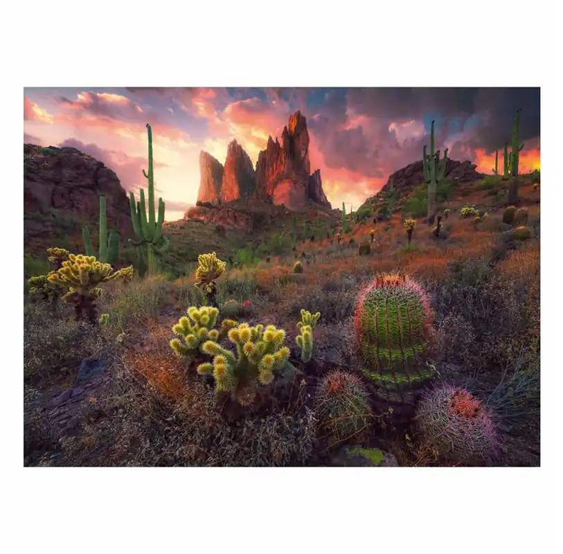 Passa på nu | Ravensburger Jigsaw puzzle Cactus 500 pcs. 2D Pussel
