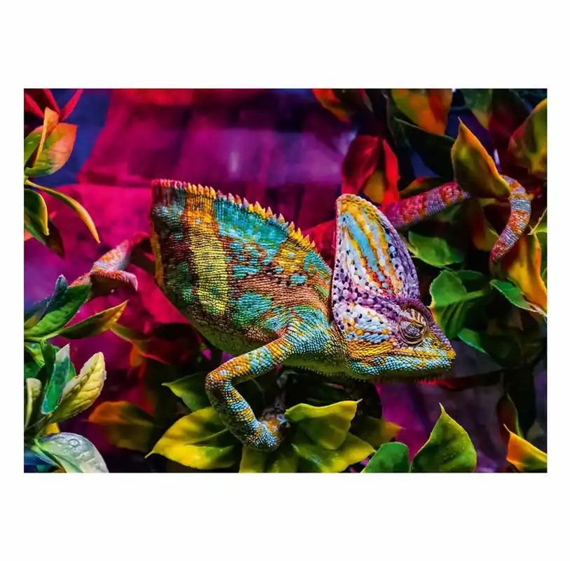 Sista chansen | Ravensburger Jigsaw puzzle Colorful Animals Chameleon 500 pcs. 2D Pussel