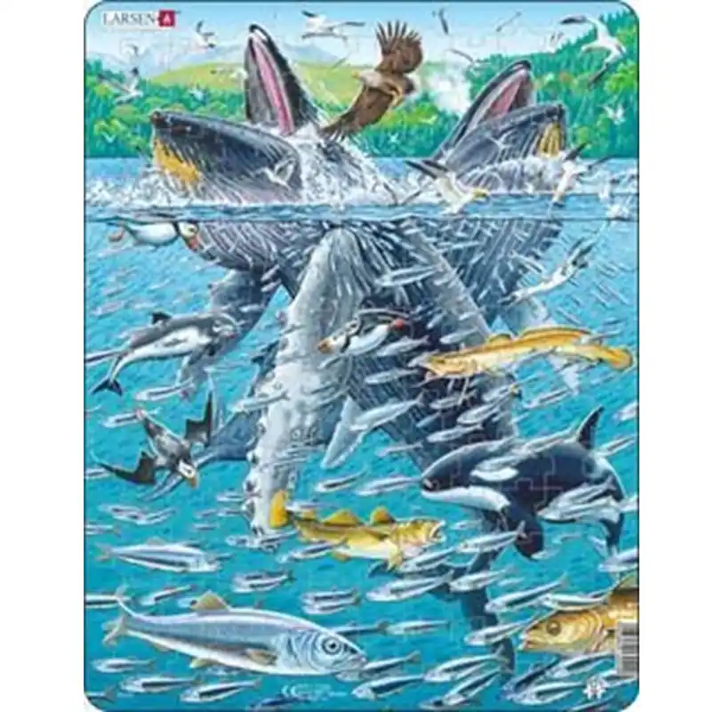 Populär | Larsen Puzzles Puzzle Humpback Whale - 140 pieces Maxi (36.5x28.5cm) 2D Pussel