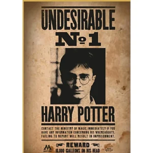 Thumbs Up! Harry Potter "Wanted No. 1" Puzzle | Köp nu