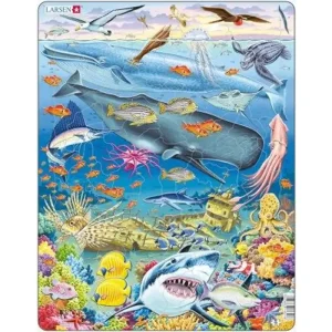 Enkel retur | Larsen Puzzles Whale Reef
