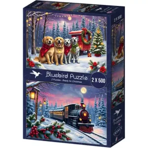 Finns i lager - Bluebird Pussel 2 x 500 bitar