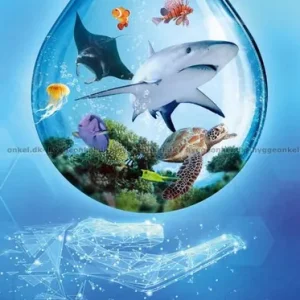Slutrea | Ark Nova Marine Worlds