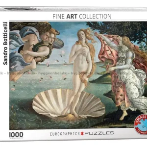Enkel beställning - Botticelli Venus födelse, 1000 bitar