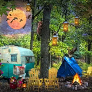 Camping i fullmånen, 500 bitar | Extra rabatt