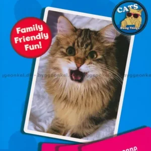 Cats Doing Things Meme Game | Begränsat antal