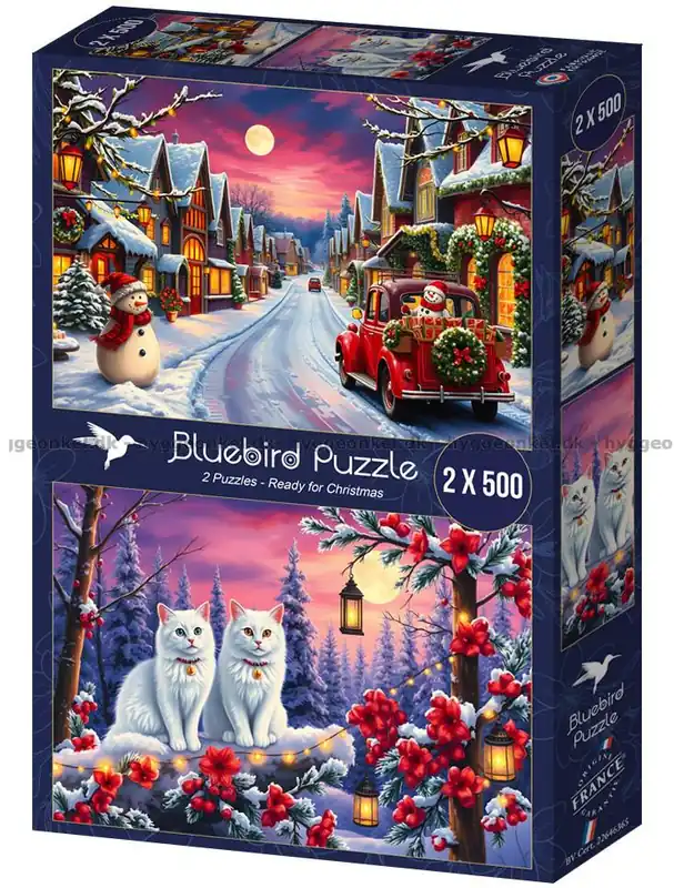 Extra bra pris | Julstämning i snön, 2x500 bitar