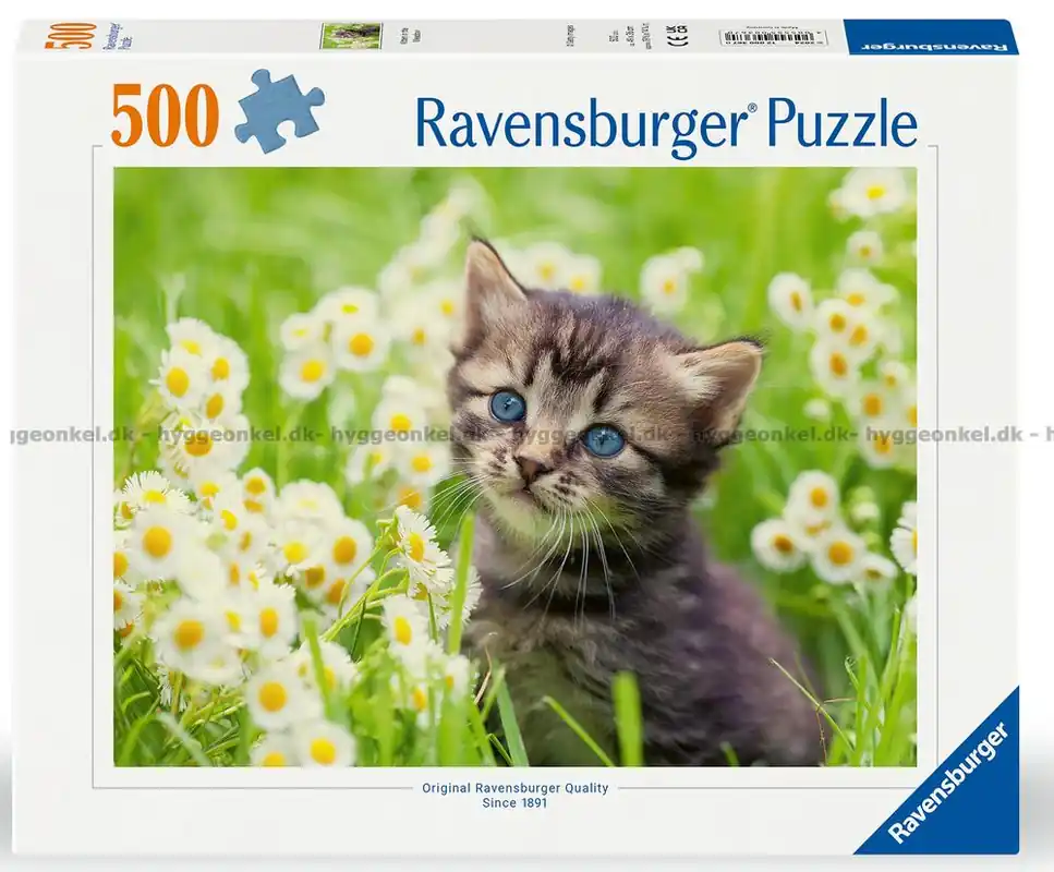 Kattungar på äng, 500 bitar - Nyhet hos oss