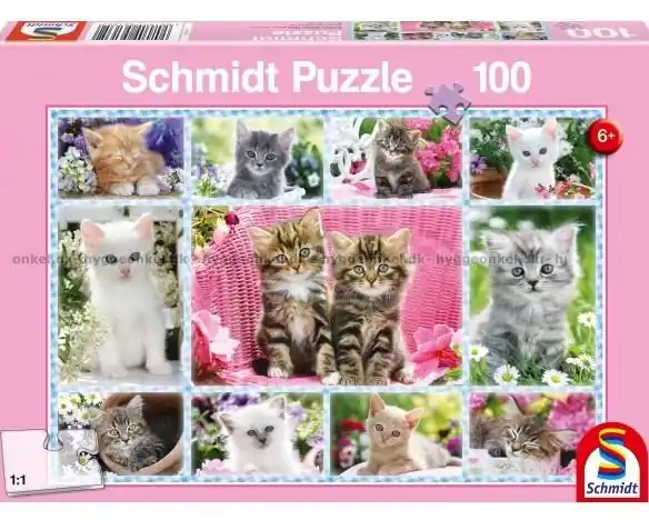 Nytt i sortimentet | Kattungar, 100 bitar