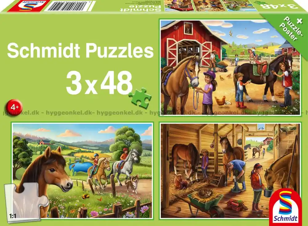 På ridskolan, 3x48 bitar - Nyinkommet